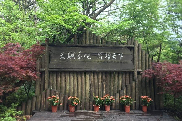 主題公園標識